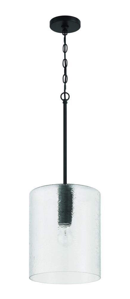 1 Light Pendant