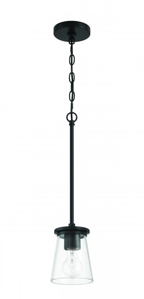 1 Light Mini Pendant