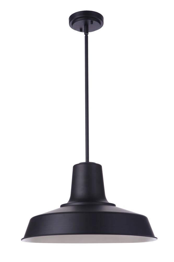 1 Light Pendant