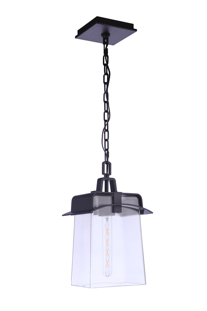 1 Light Pendant