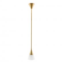 Arteriors Home 49523 - Rai Pendant