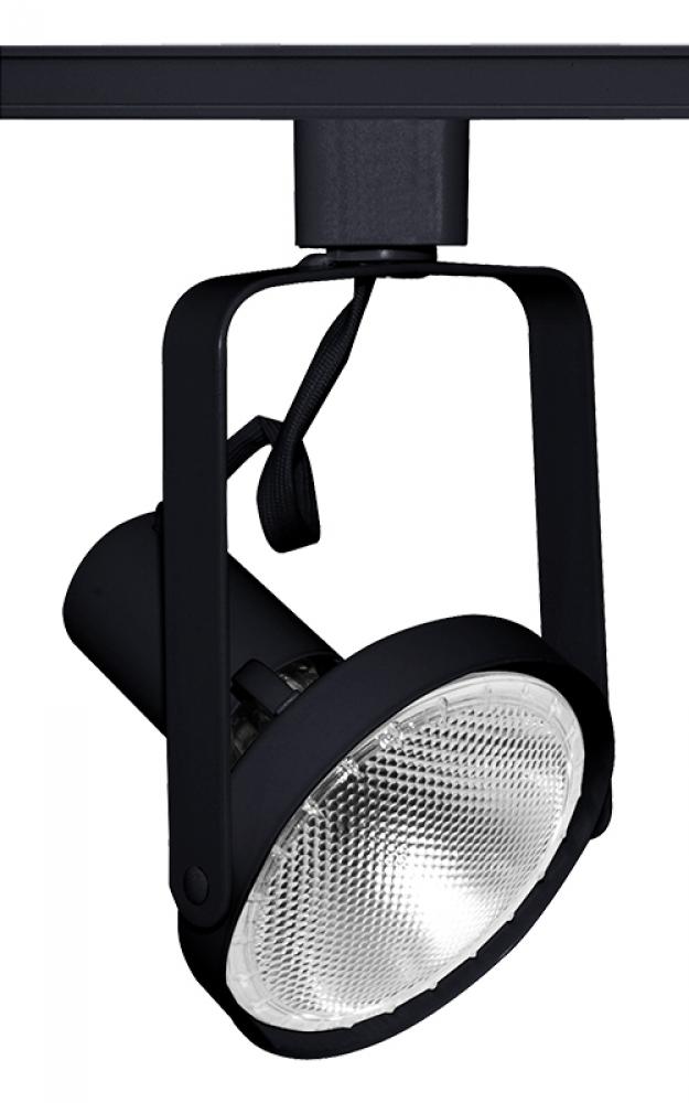 Trac-Master Front Lamping Gimbal PAR30,