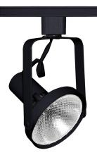 Acuity Brands T689 BL - Trac-Master Front Lamping Gimbal PAR30,