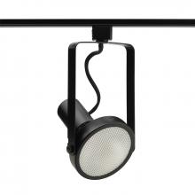 Acuity Brands R534 BL - Trac-Lites Open Back Spotlight PAR38, Bl