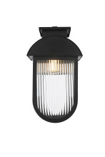 Elegant OD338W19BK - Albert 10 inch Outdoor Wall sconce in Black