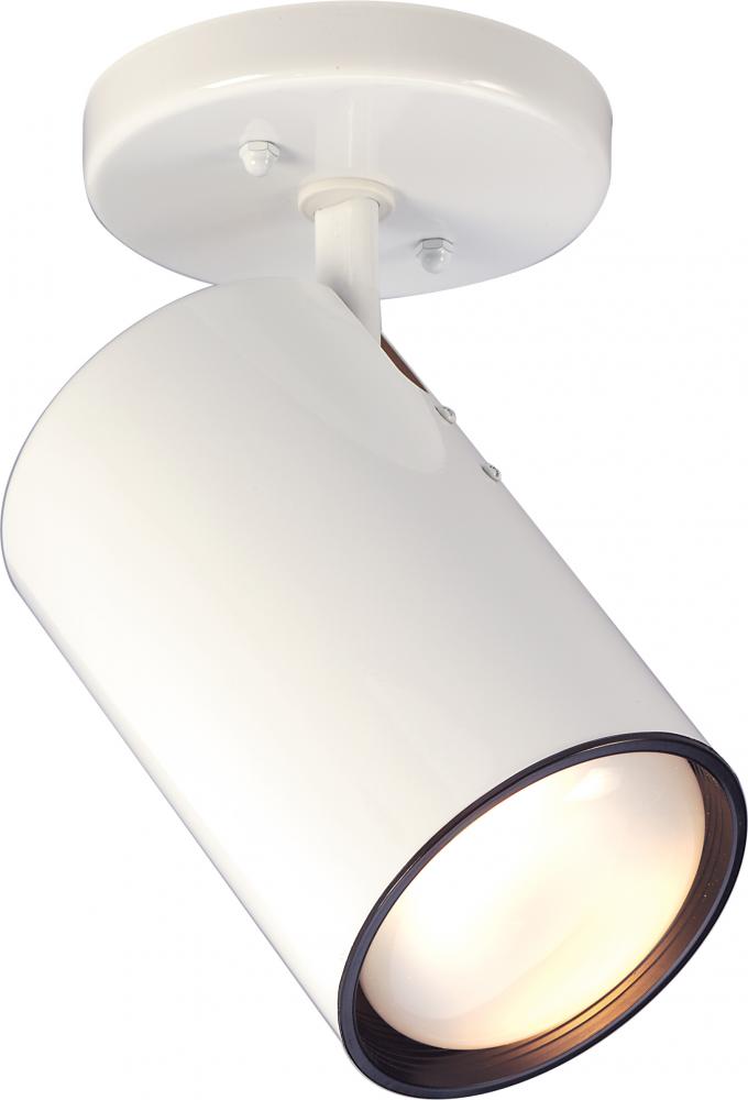 1 Light - R30 - Straight Cylinder