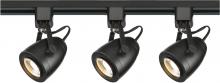 Nuvo TK414 - Track Lighting Kit - 12 Watt LED per Head - 3000K - 4 foot Track - 36 degree - Pinch back - Black